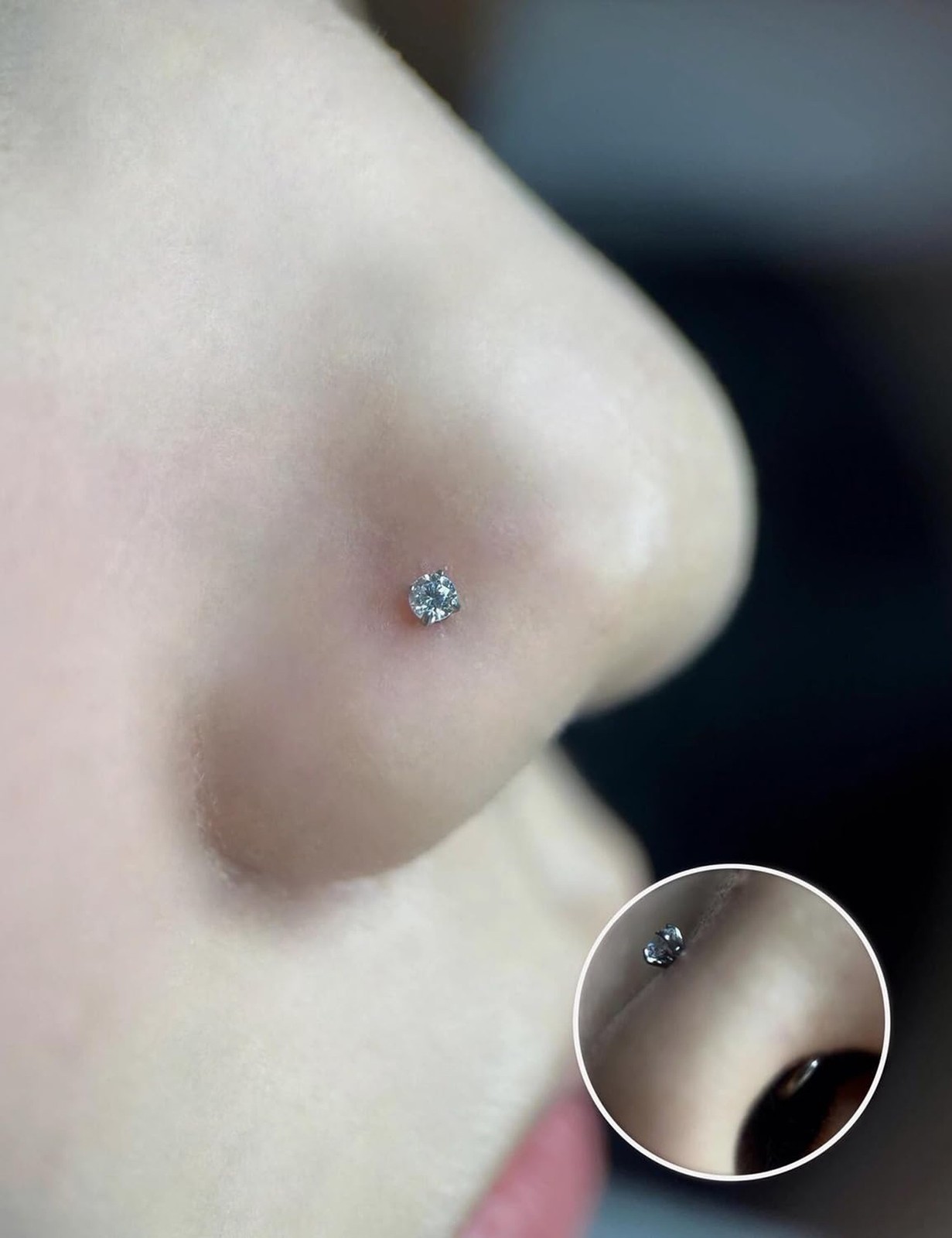 18G 16G 14G Lip Labret Medusa Nose Rings Studs Flat Back Earrings Internally …