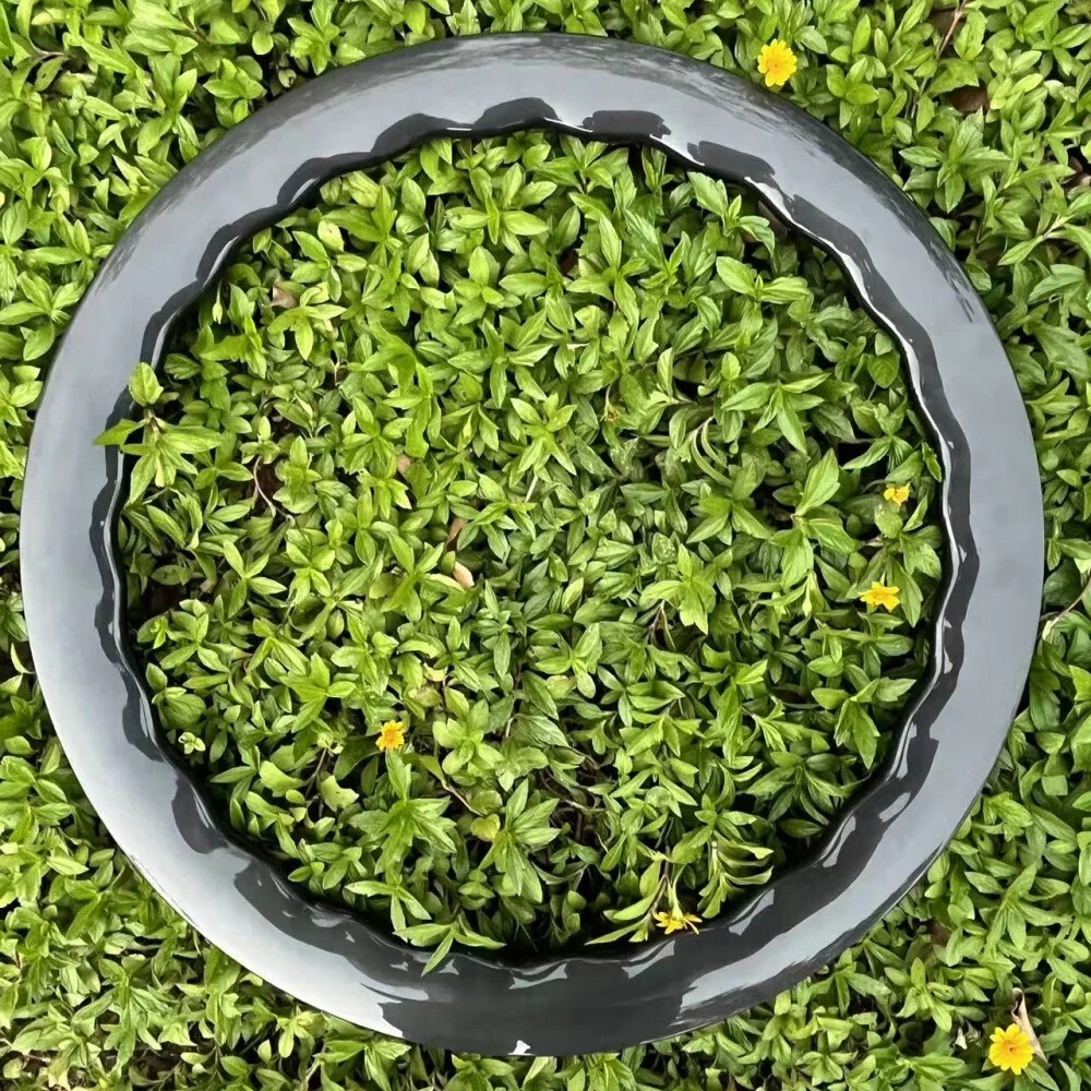 700C Gravel Bike Wave Carbon Rims 28mm Wide 45mm Depth Disc Brake Tubeless