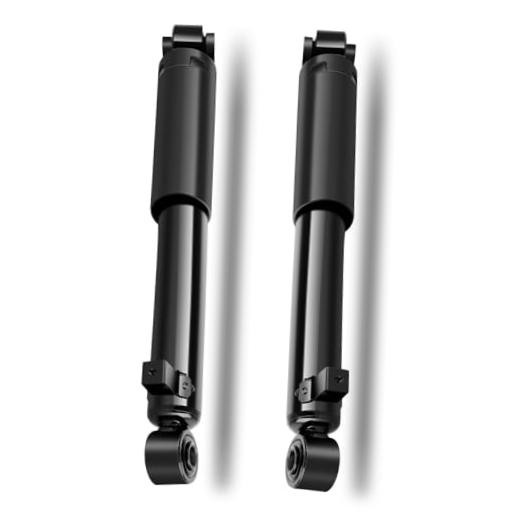 2 Pcs Struts Shock Absorbers Compatible with 2007-2009 for Hyundai Santa