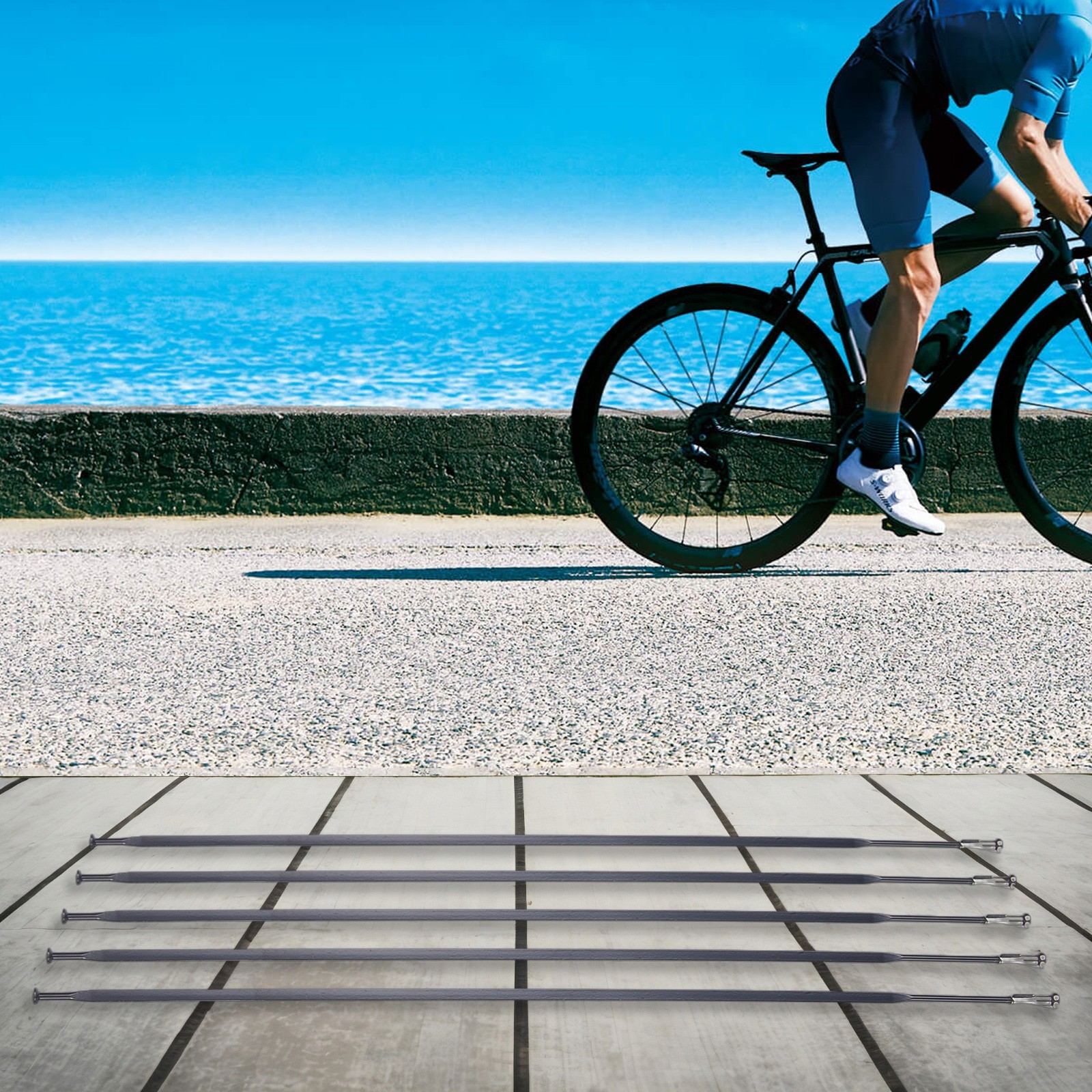 Bike Spoke Bicycle Wheel Bike Spokes Bike Spoke Pillar Types Of Bicycles