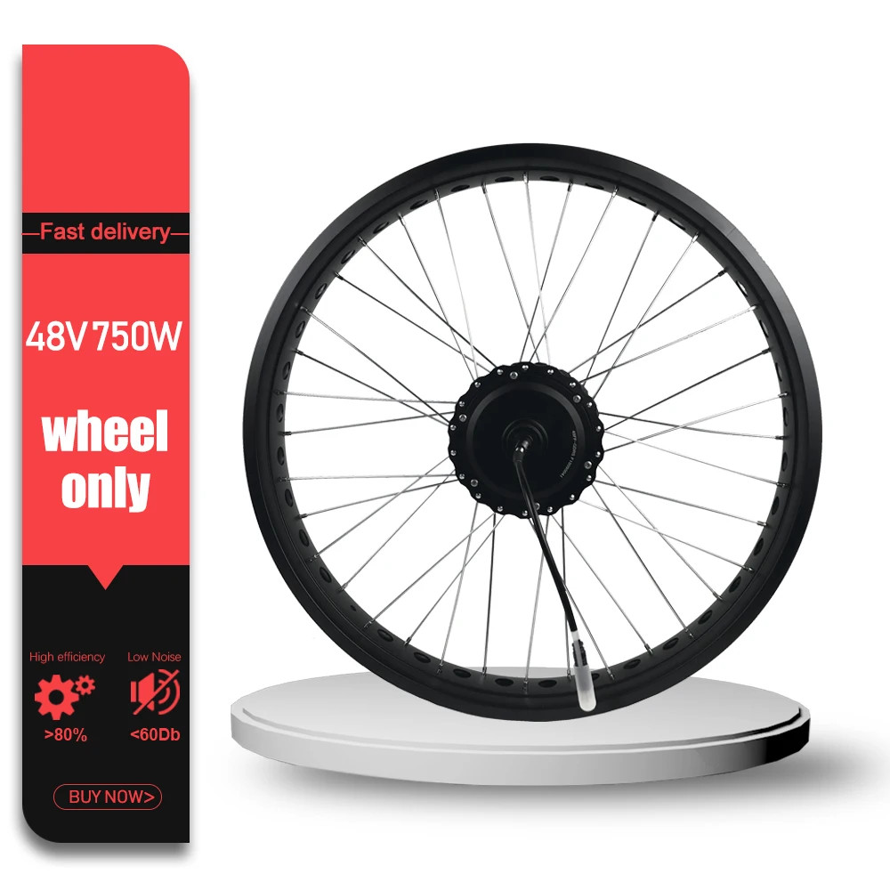 Snow Electric Fat Bike 48V 750W Brushless Gear Front Hub Motor Wheel 20 24 26in