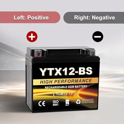 YTX12-BS 12V 10Ah AGM Sealed Motorcycle Battery, Maintenance-Free, YTX-12 Black