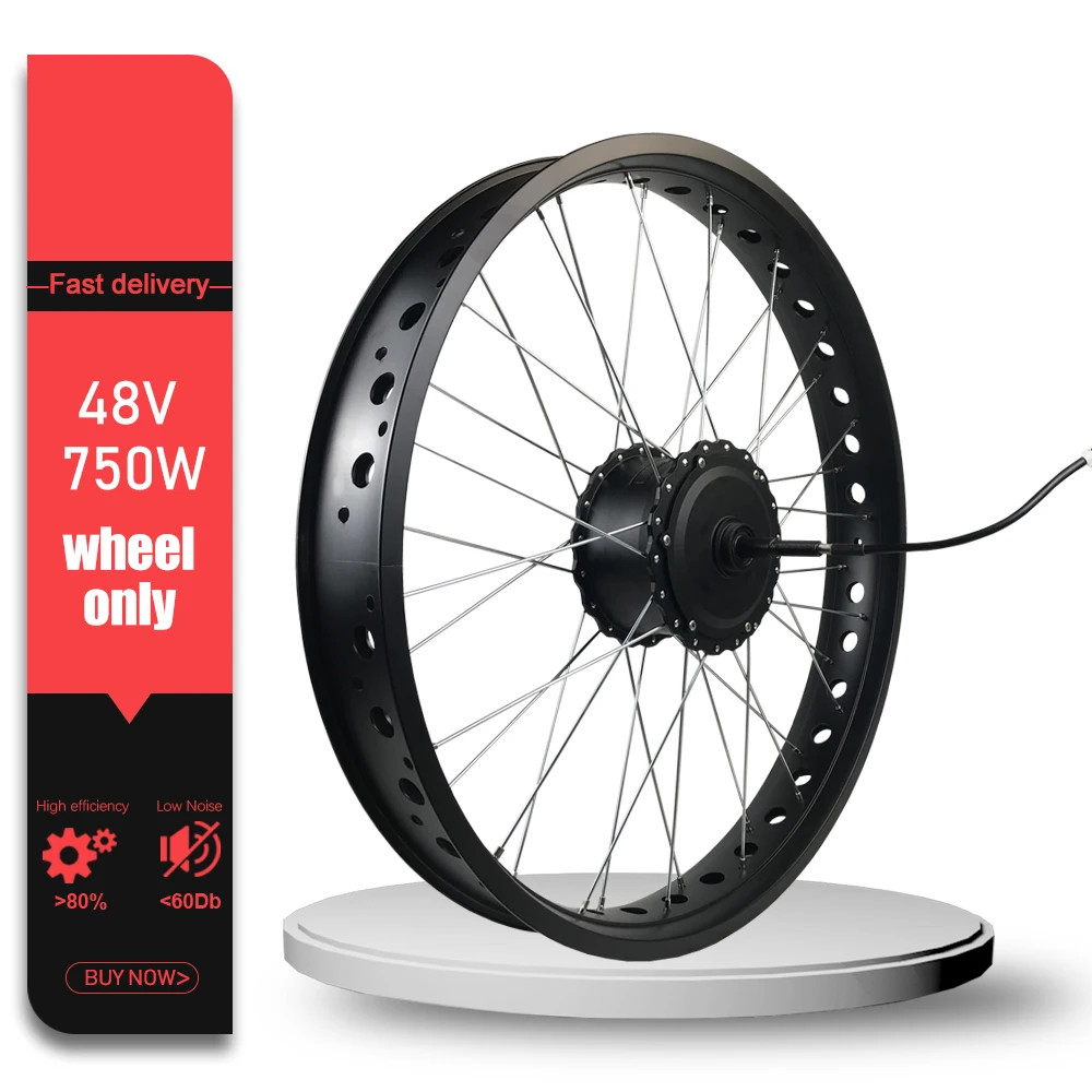 Snow E-bike 48V 750W Fat Tire Brushless Gear Rear Hub Motor Wheel 20/24/26in