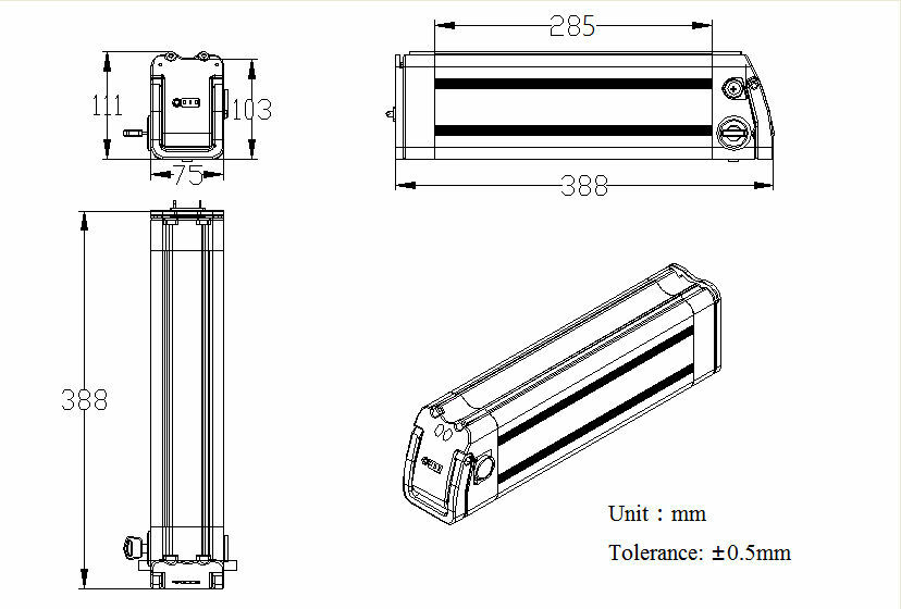 48V 10.4Ah SilverFish Lithium Battery with USB 48 Volt Ebike Battery for 0-500W