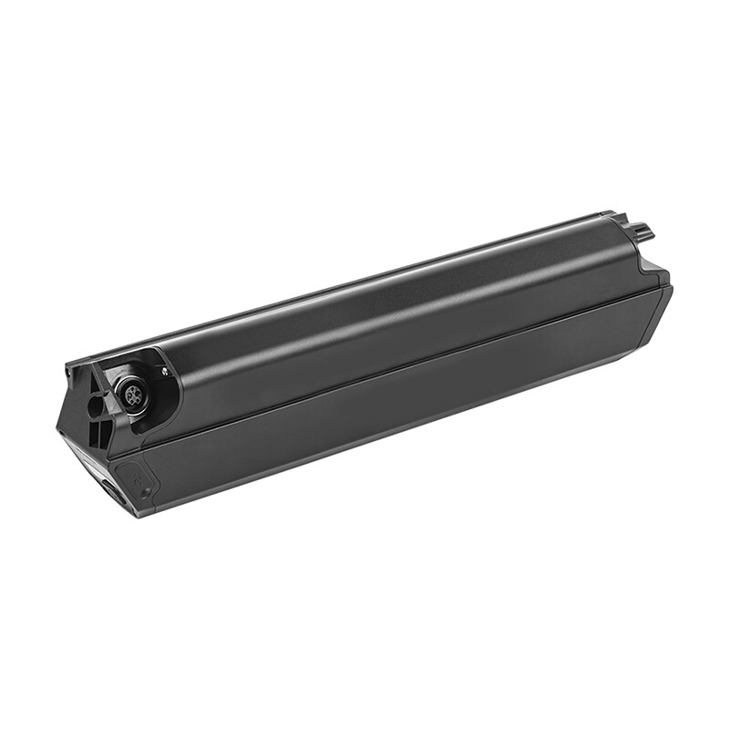 Ebike Battery 48V 25-30Ah Dorado Reention Cell for 0-1500W CM moscow ebike Motor