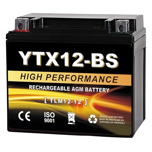 YTX12-BS 12V 10Ah AGM Sealed Motorcycle Battery, Maintenance-Free, YTX-12 Black