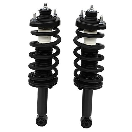 Rear Pair Complete Struts Coil Spring Assembly Shock Absorber Compatible with