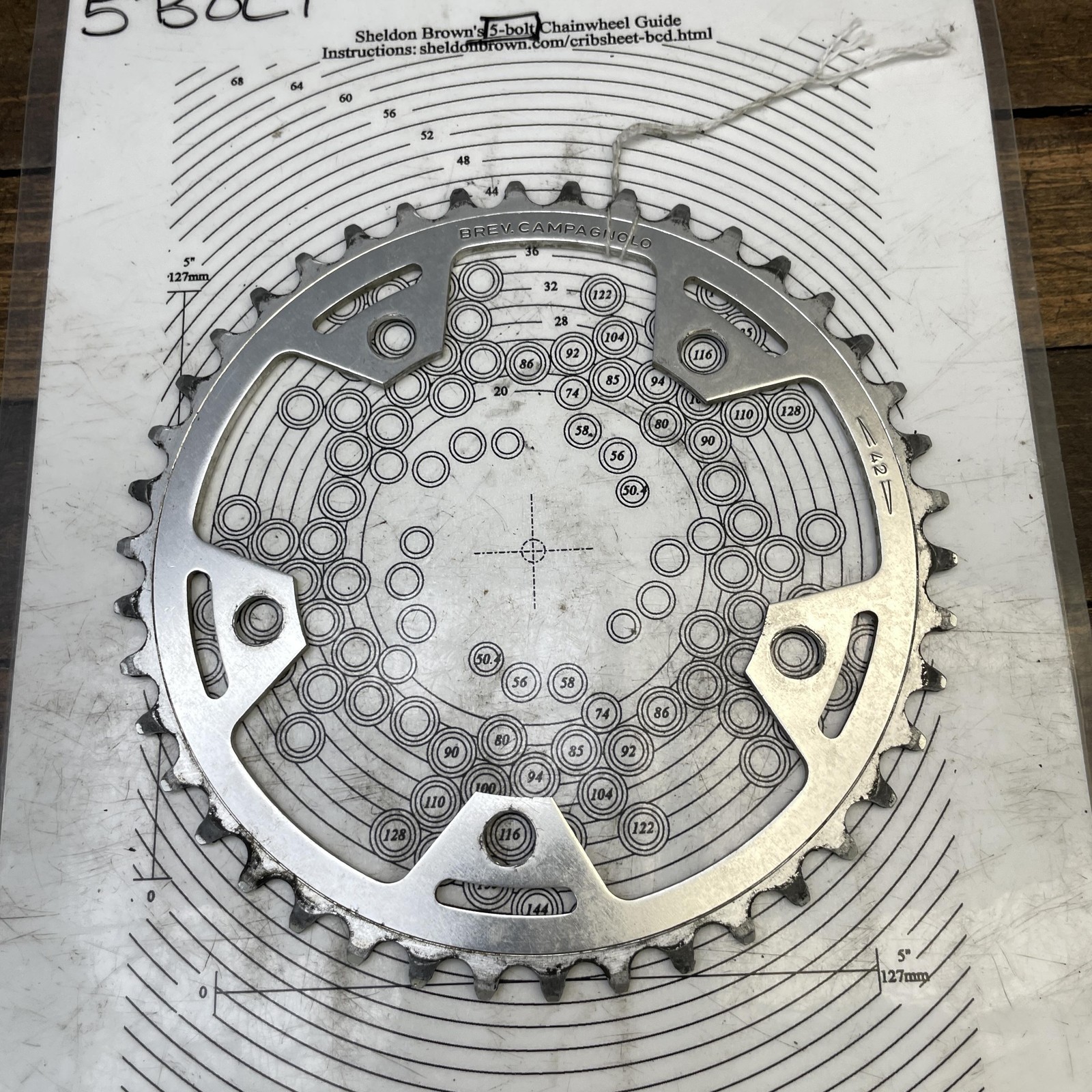Vintage Campagnolo 42t Chainring 42 Tooth 116 BCD Victory Triomphe