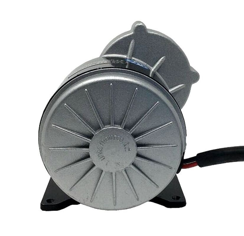 MY1016Z3 Electric Tricycle Brush DC Motor 36V 24v 350W 3200RPM Geared motor