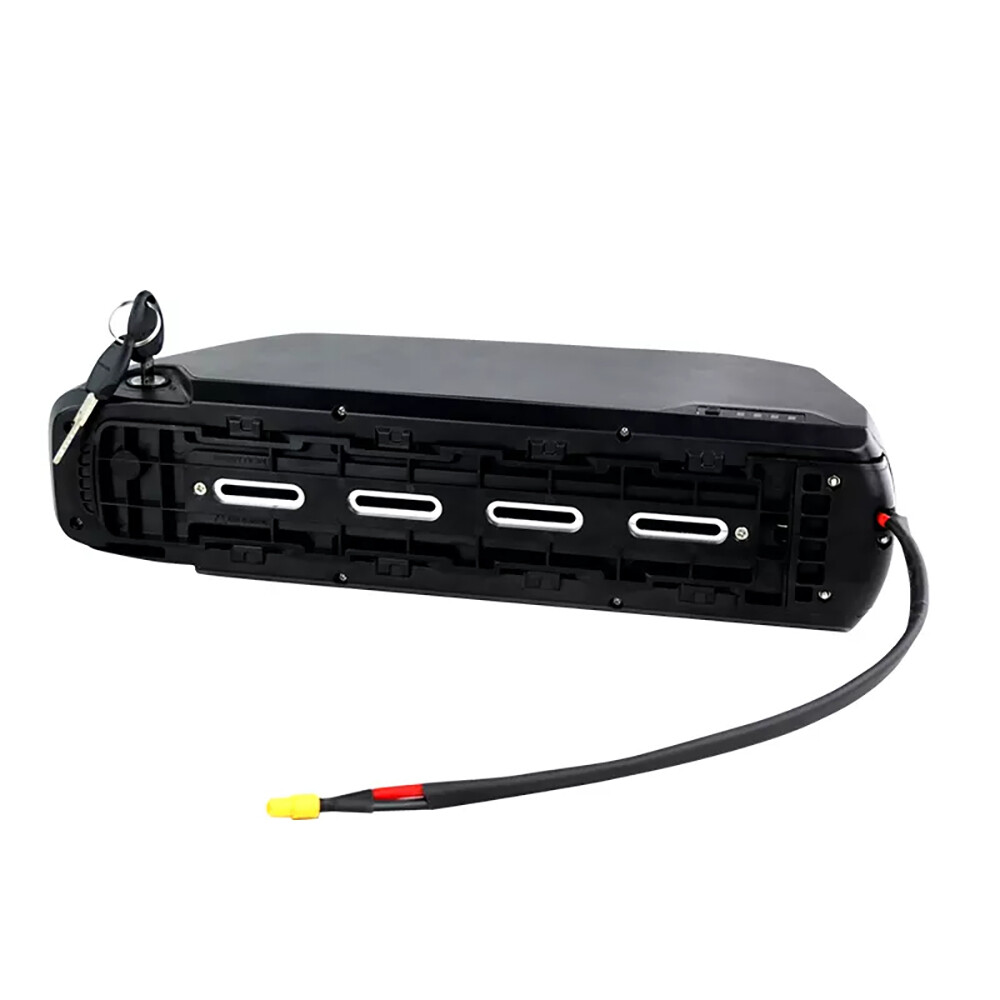 48V 30Ah Hailong Ebike Battery For 0W-1500W LG Cell Lithium Electric Bike Motors