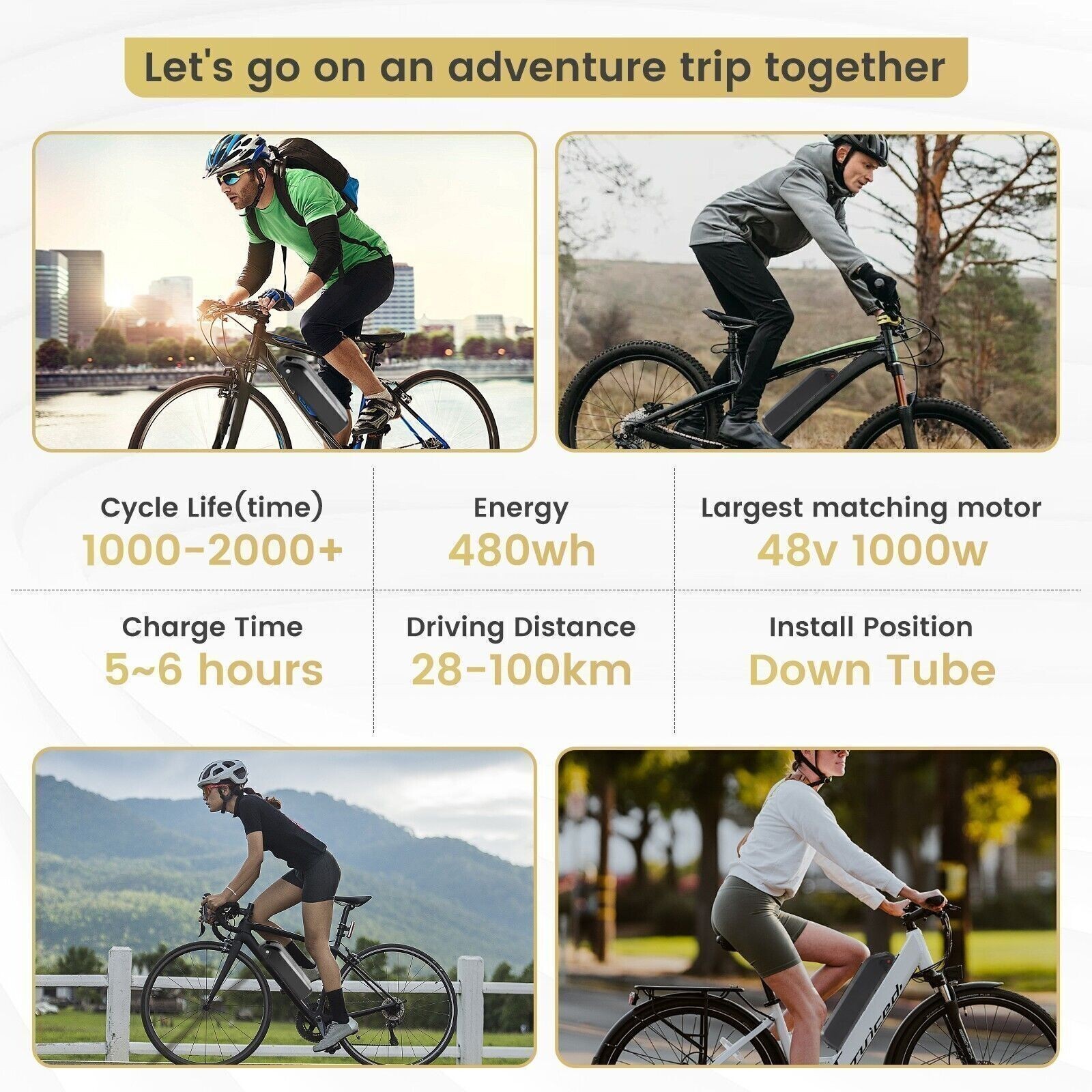 48V 200W-1500W Electric Bicycle Bike Ebike Lithium Battery Rechargeable 5-Pin