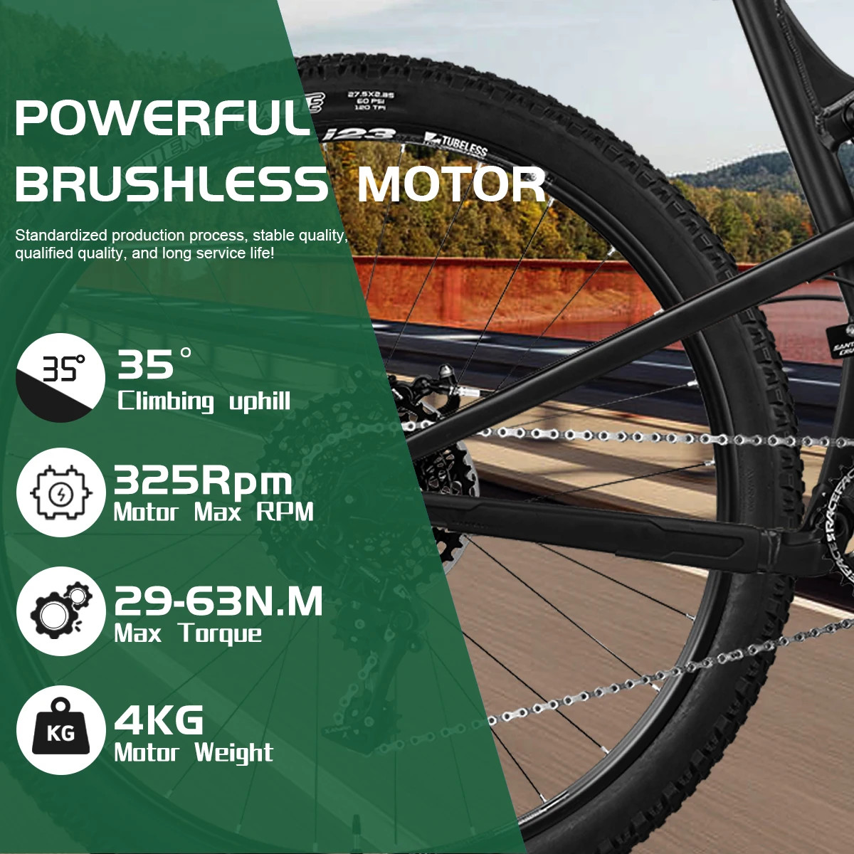 250W-500W Rear Freewheel / Cassette Electric Bike Brushless Gear Hub Motor