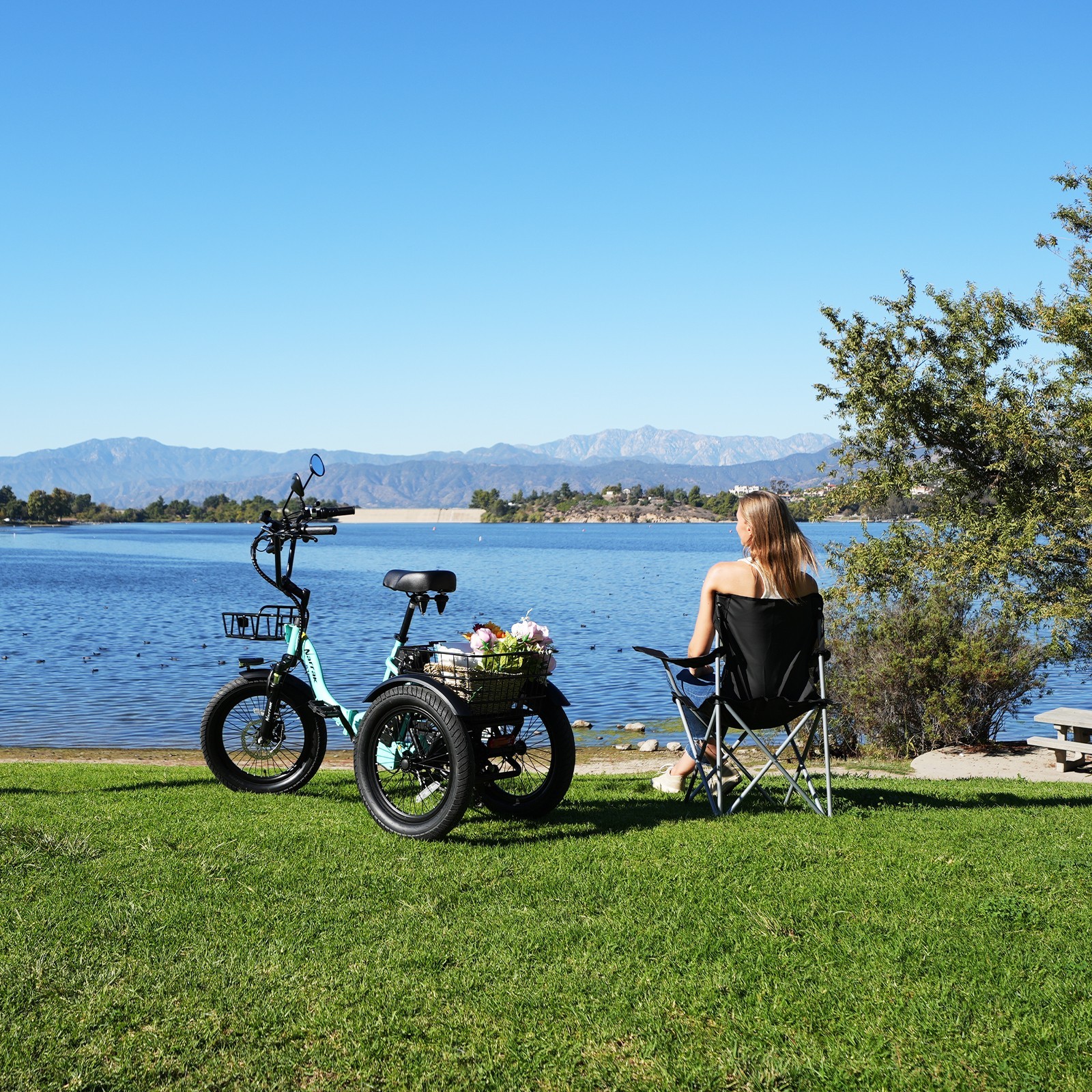 NARRAK Fat Tire Folding Electric Trike Peak Adults Shimano 7-Speed S180 N8 N6 N3