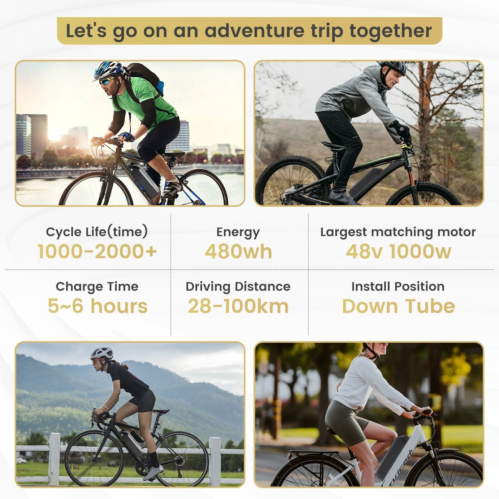 48V 1500W Hailong Ebike Battery ≤1500W Electric Bike Motor Lithium Battery BMS