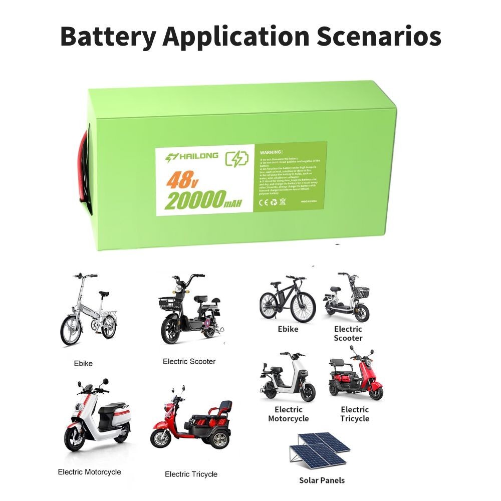 New 48v 20ah battery for 48V 200W 500W 750W 1000W 1200W Battery with charger