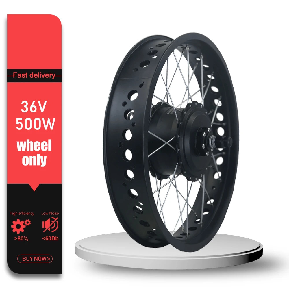 Snow E-bike Fat Tire Conversion Kit 36V 48V 500W Front Brushless Hub Motor Wheel