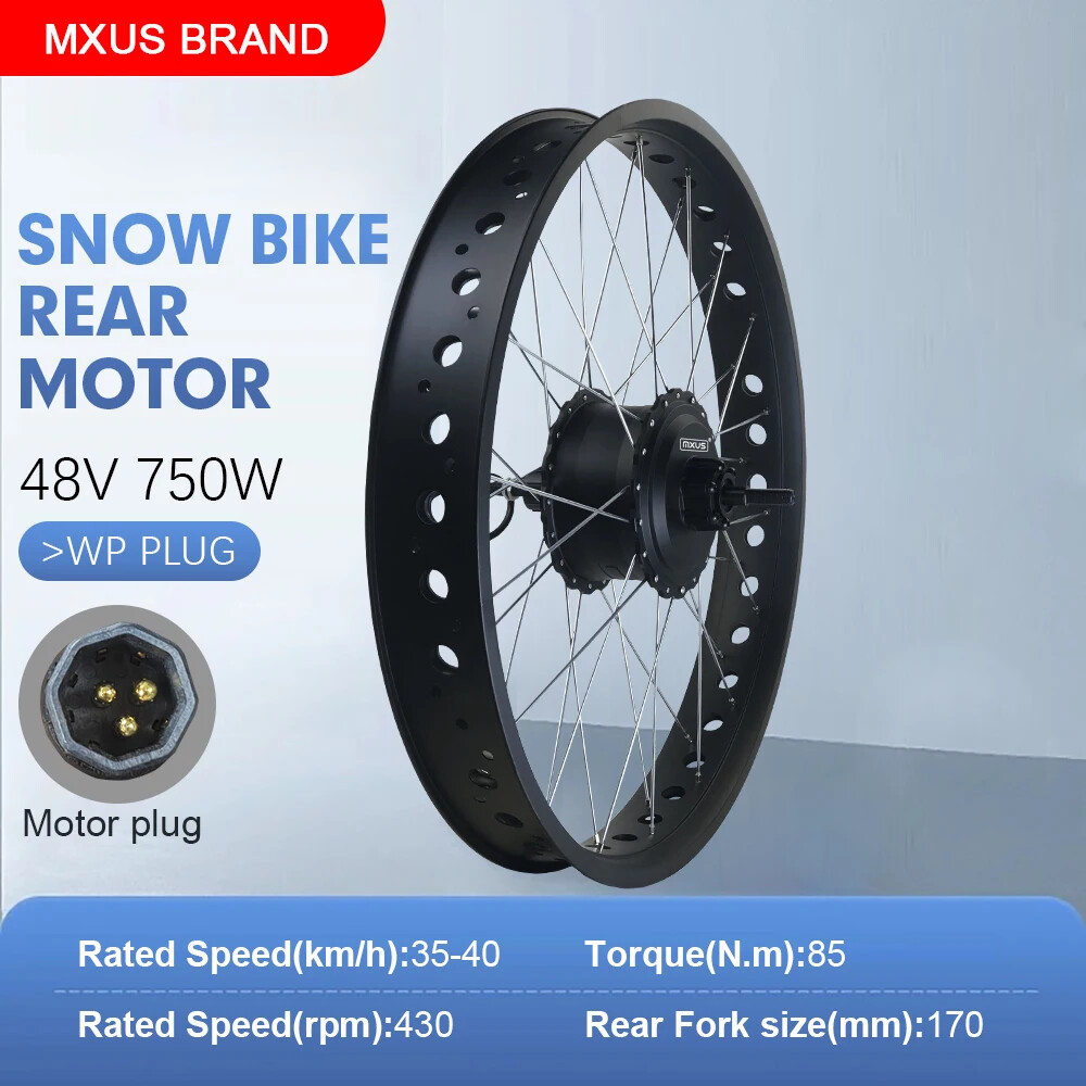 Snow E-bike Fat Tire 48V 750W Brushless Rear Cassette Hub Motor Dropout 170mm