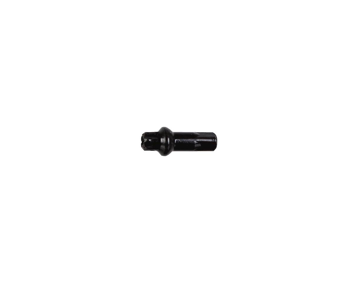 DT Swiss Squorx Pro Head Brass Nipples (Black) [N0BH20150S0100]