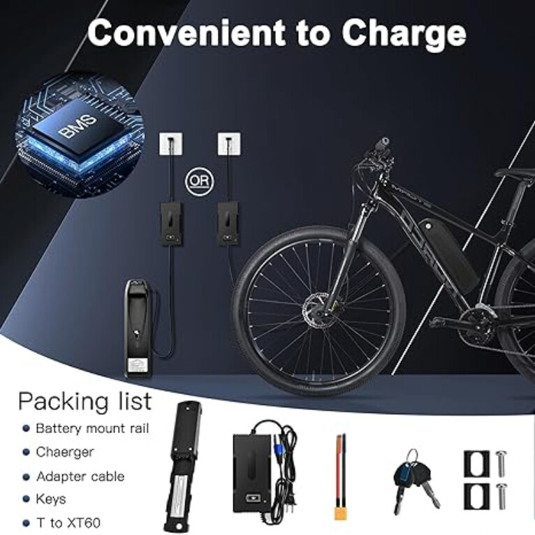 48V 20Ah Hailong Batterys for 200W-1000W Ebike Electric Bike Li-ion Batterys BMS