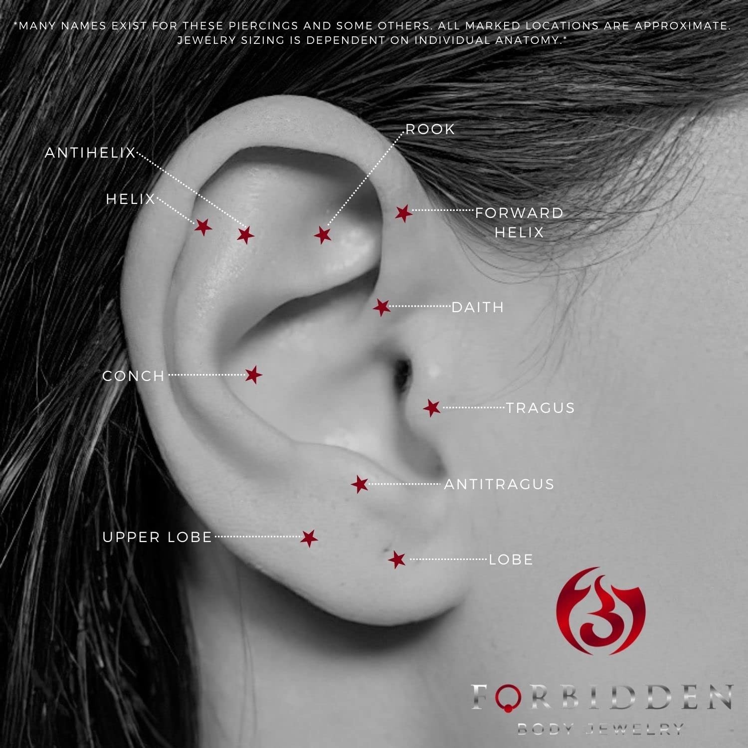 16 g Titanium Internally Threaded Tragus Piercing Jewelry CZ Top Flat Back Pi…
