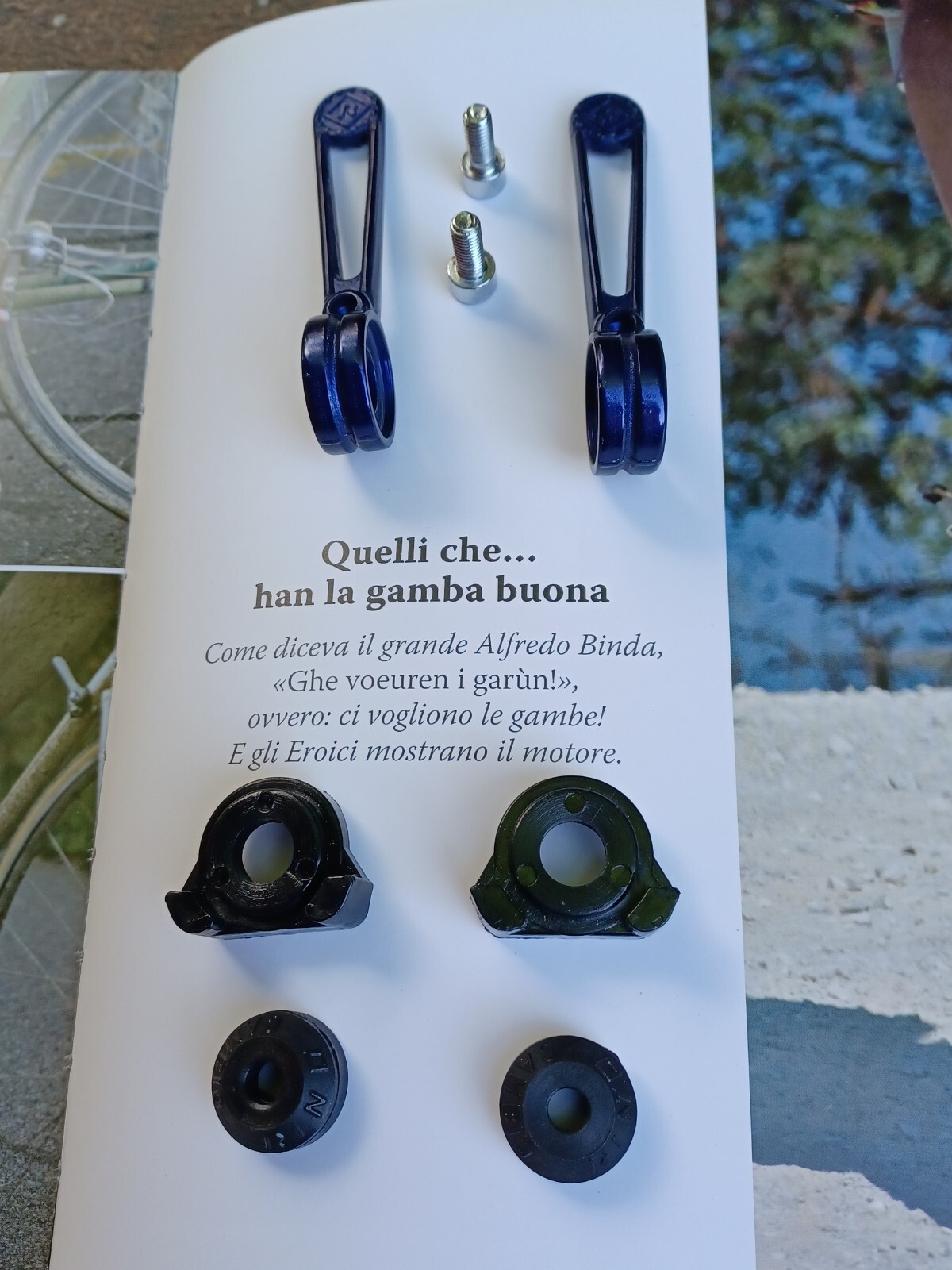Nos L’Eroica Colnago Blue Anodized Shifters Shifters Shifters Shifters Shifte…
