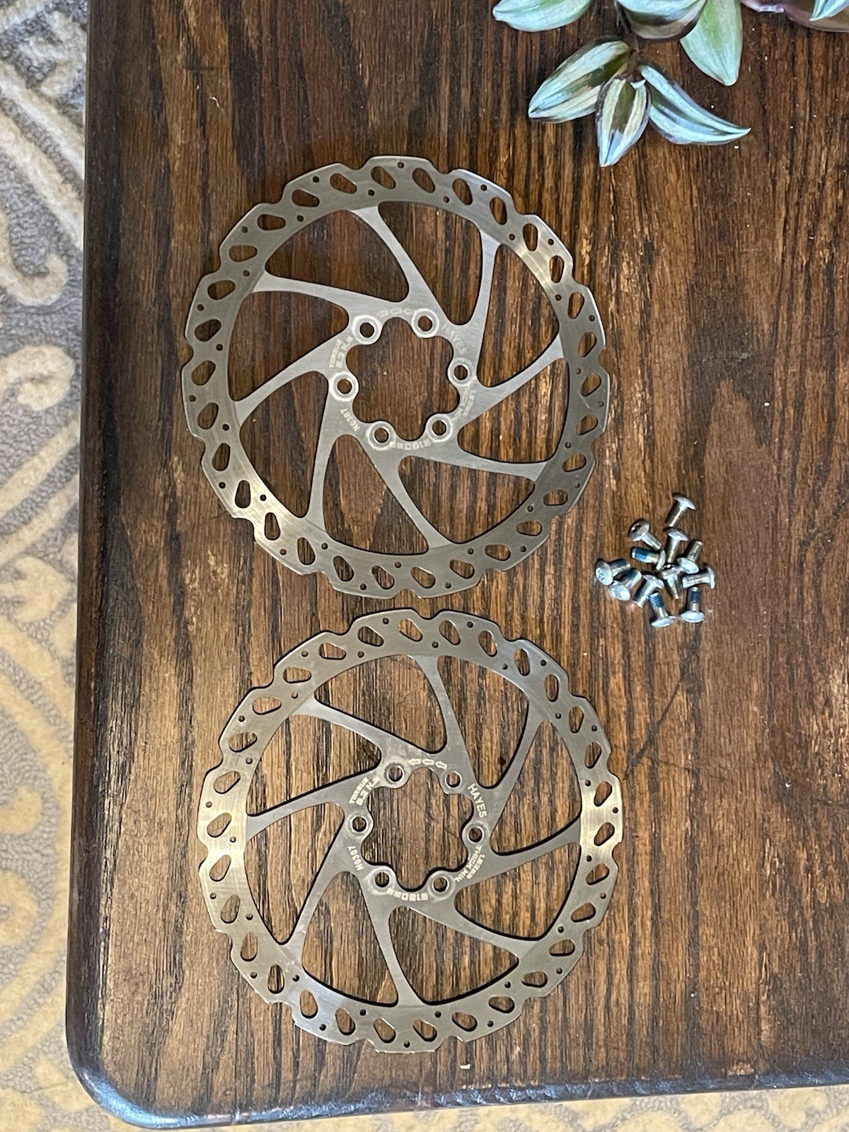 Hayes V6 160mm 6-bolt Mountain Bike Stainless Steel Disc Brake Rotors Pair (2)