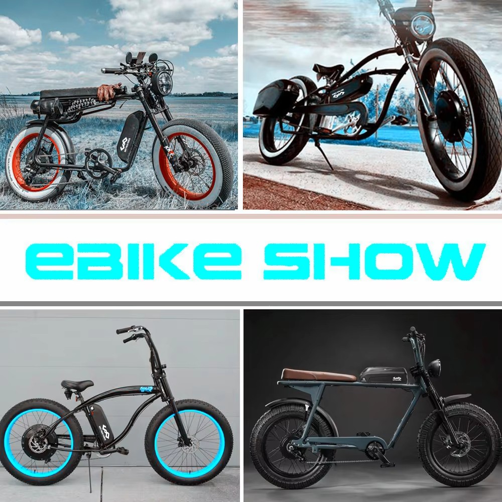 Ebike 48V 52V 20AH Hailong Down Tube Batter-y for Bafang Motor 500W 750W 1000W