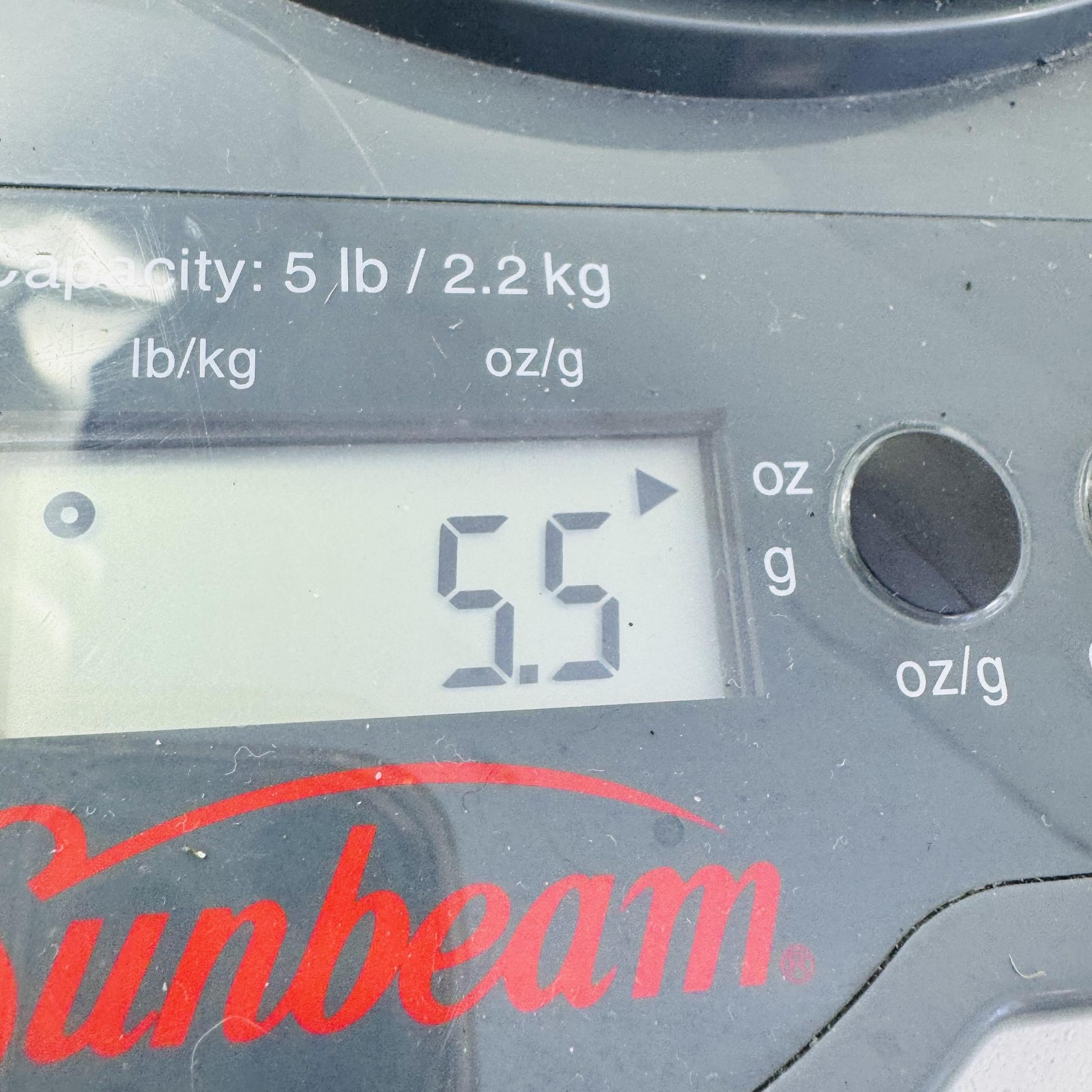 Hub Cog Sprocket Alloy Chainring 1/2 X 1/8 39T Black Bike Anode Single Speed A49