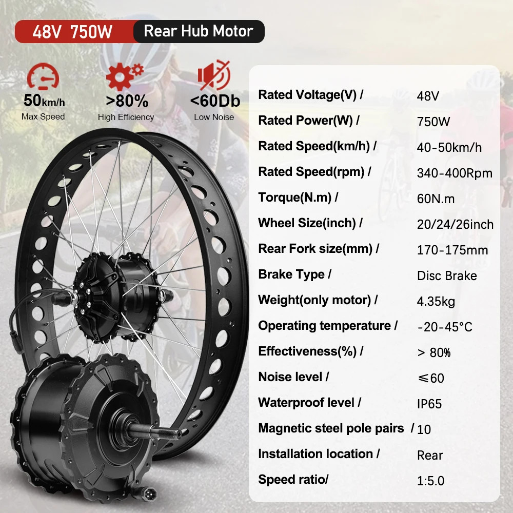 Snow Electric Bike 48V 750W 20/24/26in Fat Tire Brushless Rear Wheel Hub Motor