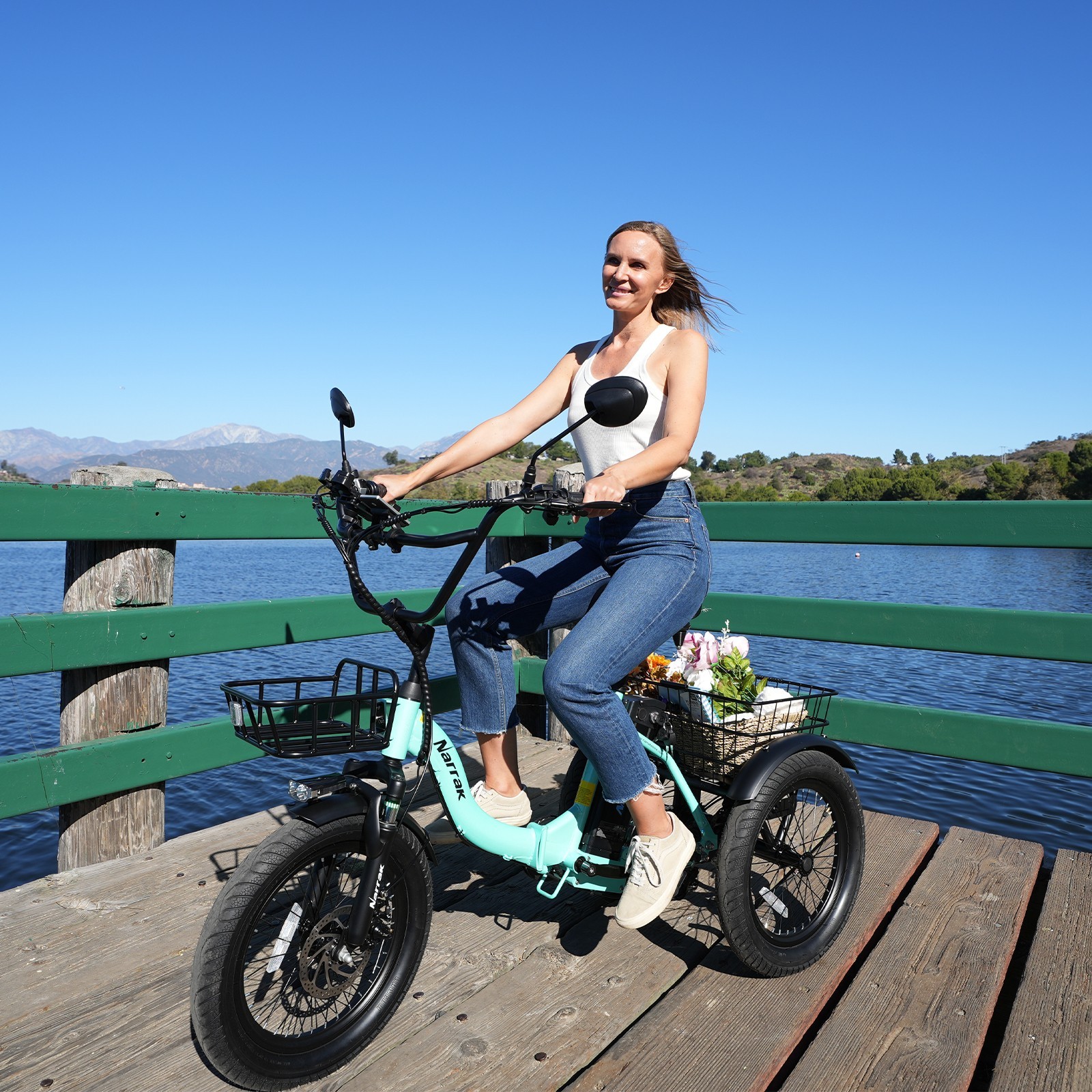 NARRAK Fat Tire Folding Electric Trike Peak Adults Shimano 7-Speed S180 N8 N6 N3