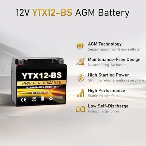 YTX12-BS 12V 10Ah AGM Sealed Motorcycle Battery, Maintenance-Free, YTX-12 Black