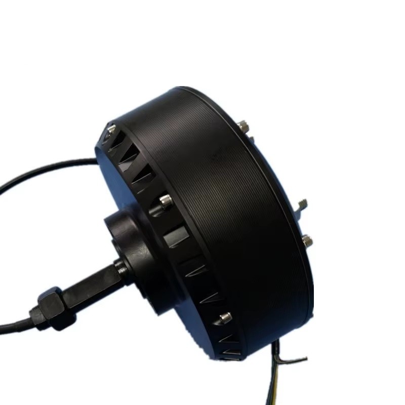 DC Brushless High Torque Motor Single Side Shaft Hub Motor Golf Cart Motor