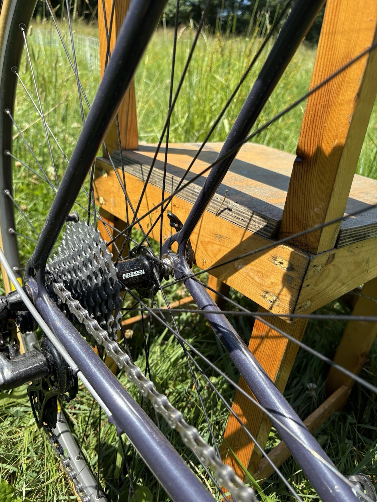 Campagnolo Chorus 12 Speed Group new Take Off