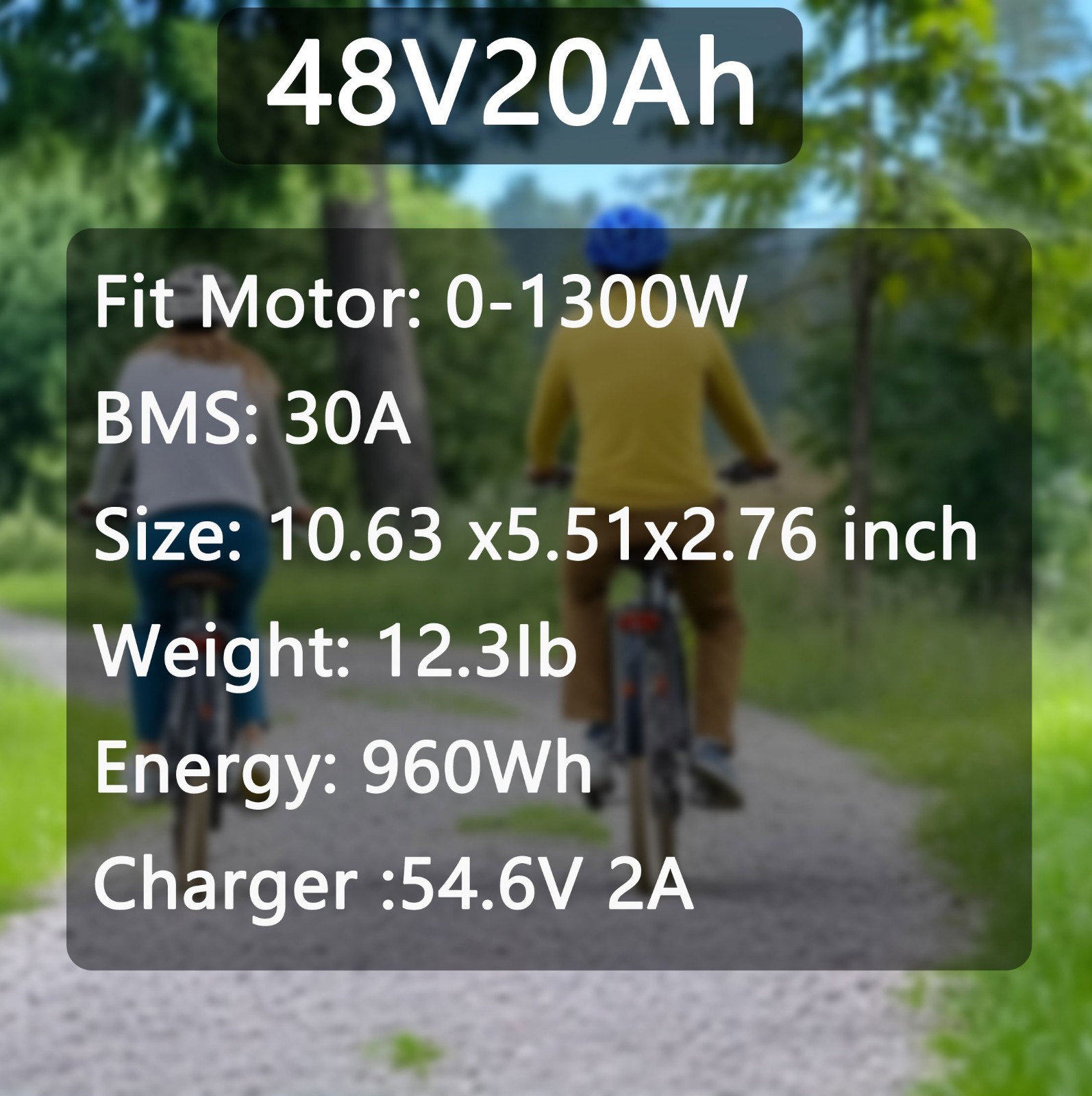 48V Ebike Battery 8Ah/10Ah/14Ah/20Ah For 0-1300W Motor Electric Bicycle 30A BMS