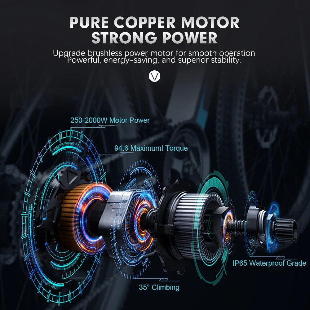 48V 36V 350W 500W 1000W 1500W 2000W Mountain E-bike Front Rear Wheel Hub Motor
