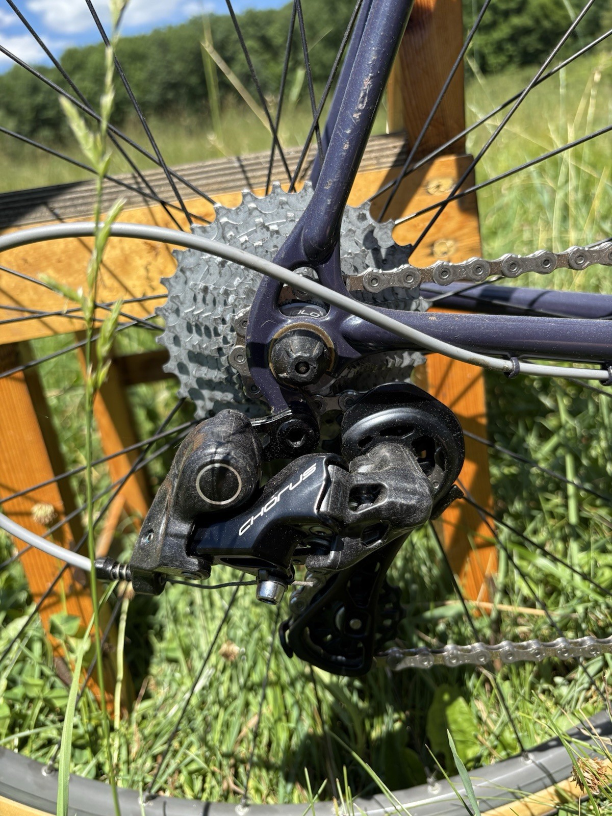 Campagnolo Chorus 12 Speed Group new Take Off