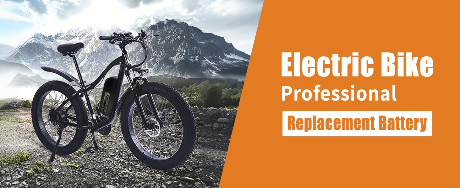 48V 18.2Ah 873.6Wh Ebike Battery for Lectric eBikes Rad Power Bikes Aventon XT60