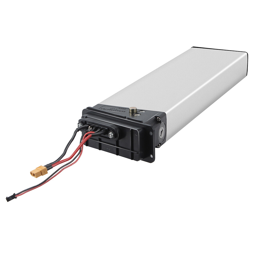 48V 10Ah EBike Li-Ion Battery Electric Bicycle Mountain E-Bike Lithium Battery