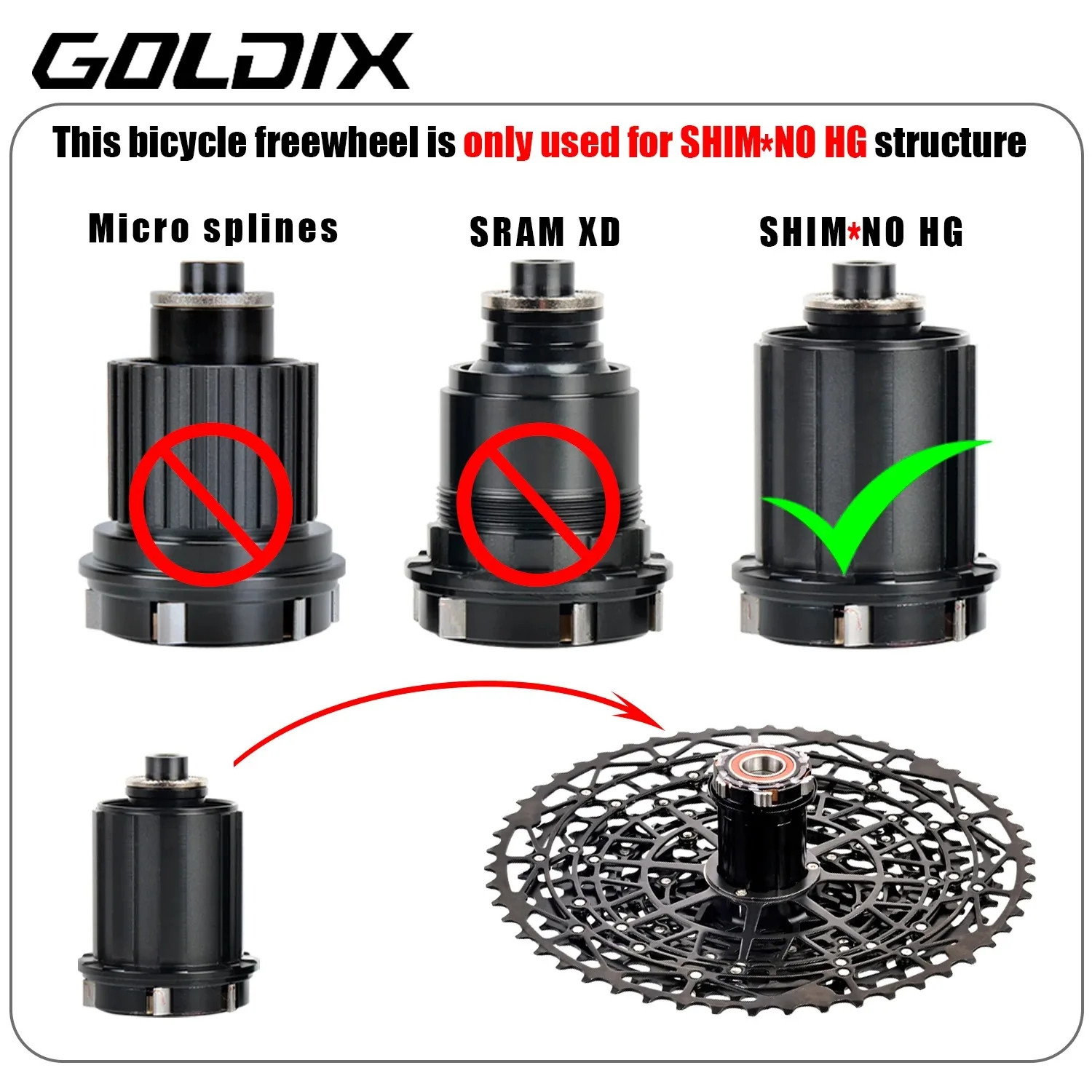 GOLDIX Ultralight MTB Cassette Freewheel K7 9/10/11/12/13 Speed HG Structure Spr