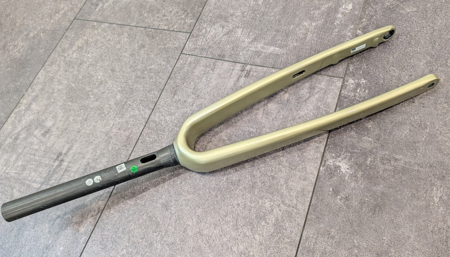 Giant Defy Advanced Carbon Fork 2024-2026 Bay Leaf Green OverDrive Aero Disc