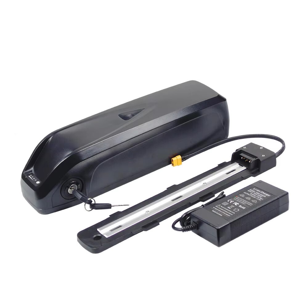 48V 10.5Ah Hailong Ebike Battery for 0W-1000W Electric Bicycle Motor Charger BMS