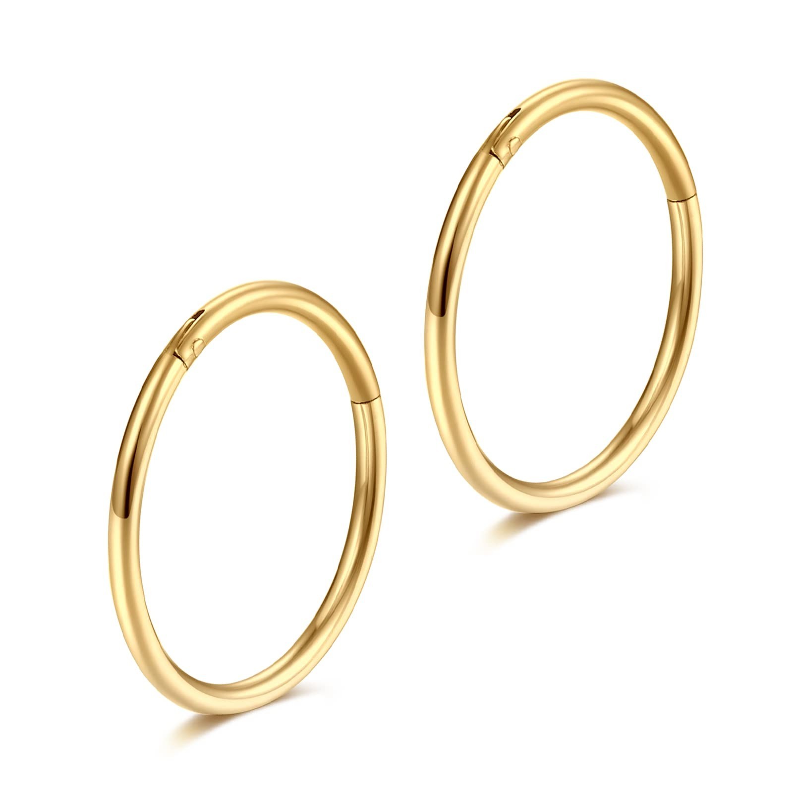 Lantine 16g 18g 20g Nose Rings Hoops Grade 23 Titanium Black Hinged Septum Ri…