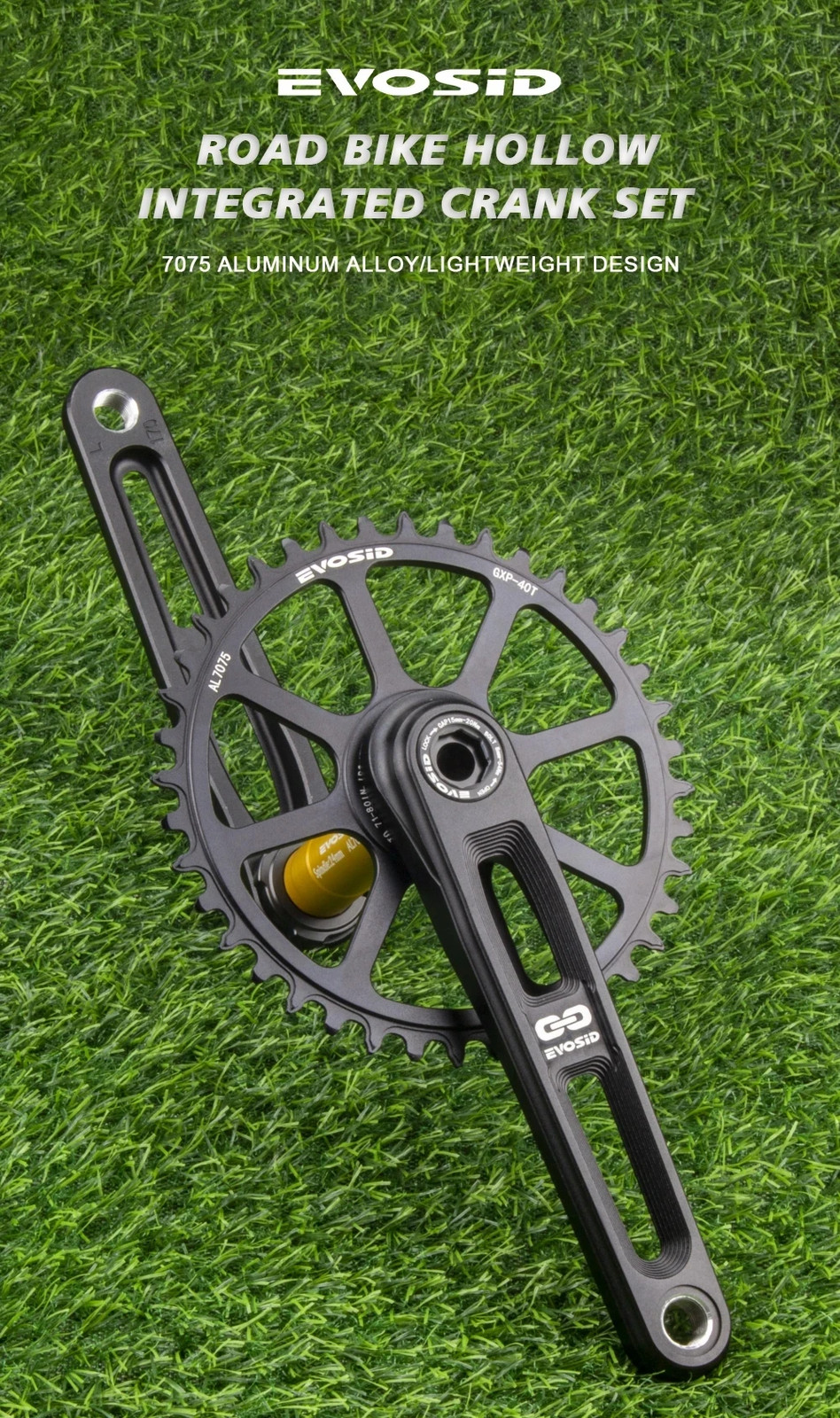 Road Bike Crankset 165/170/175mm Hollow Crank Chainring 40/42/44/46/48/50T