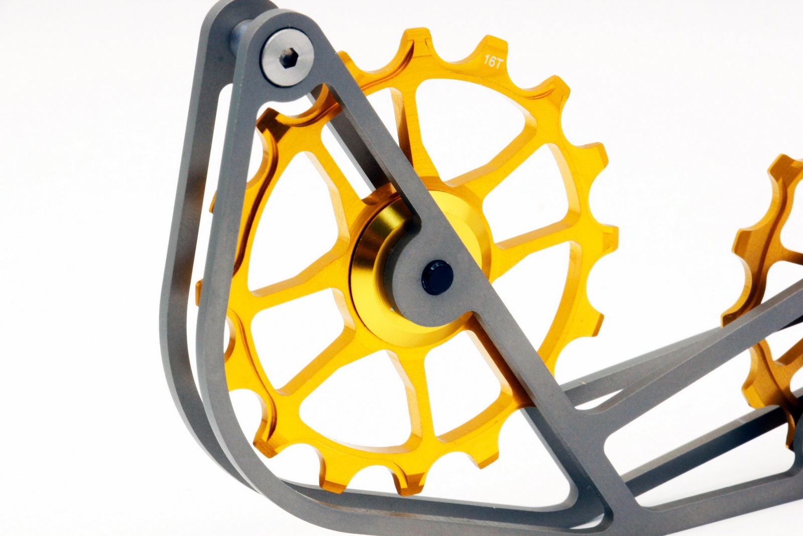 Swishti Road Riding Oversized Pulley Titanium Cage SRAM Force Etap Axs Gold Bike