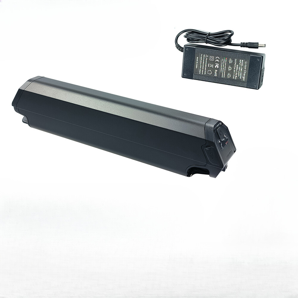 Reention Dorado Plus 48V 13ah 17.5ah for NCM Moscow electric bicycle battery