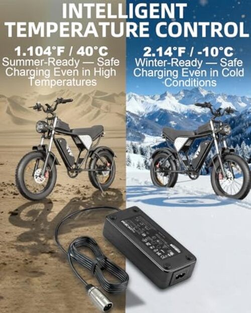 54.6V for Q20 Ridstar YVY E-Bike Fast 3A Q20 Ridstar – 5A Interface