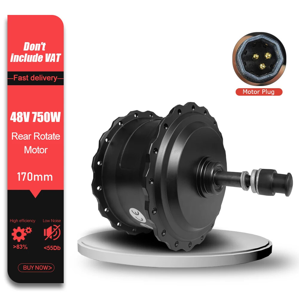 Snow E-bike 48V 750W Fat Tire Front Rear Brushless Hub Motor Dropout 170/135mm