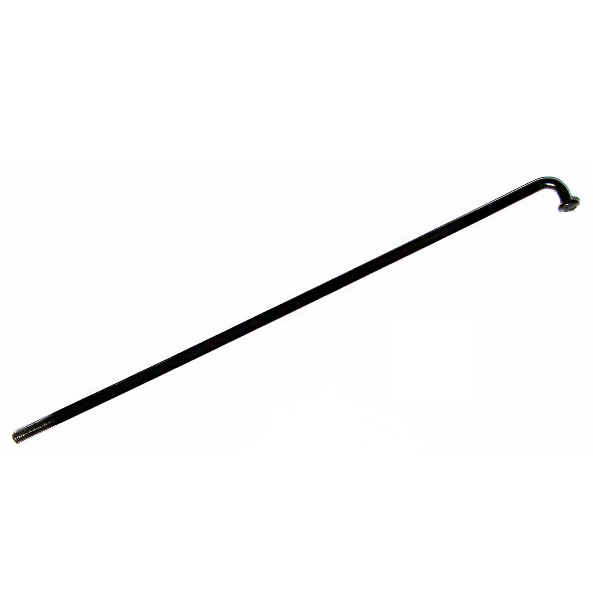 Type 2 radius for torpedo venus t260 26 7v bafang 468wh black 2022 RG264N23 RIDEW