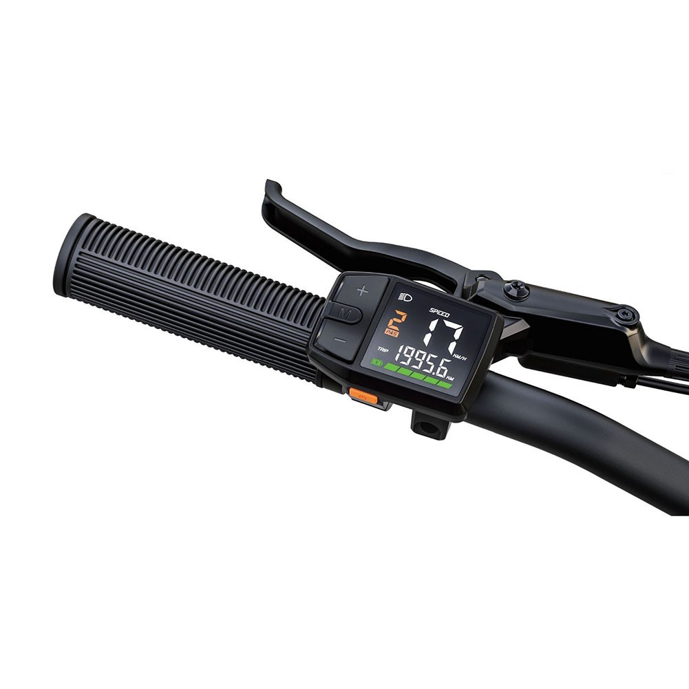 Practical Display E-BIKE Black. 20*15*10cm. 200g. Metal+Plastic. Monitor
