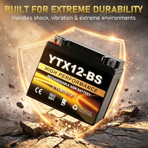 YTX12-BS 12V 10Ah AGM Sealed Motorcycle Battery, Maintenance-Free, YTX-12 Black